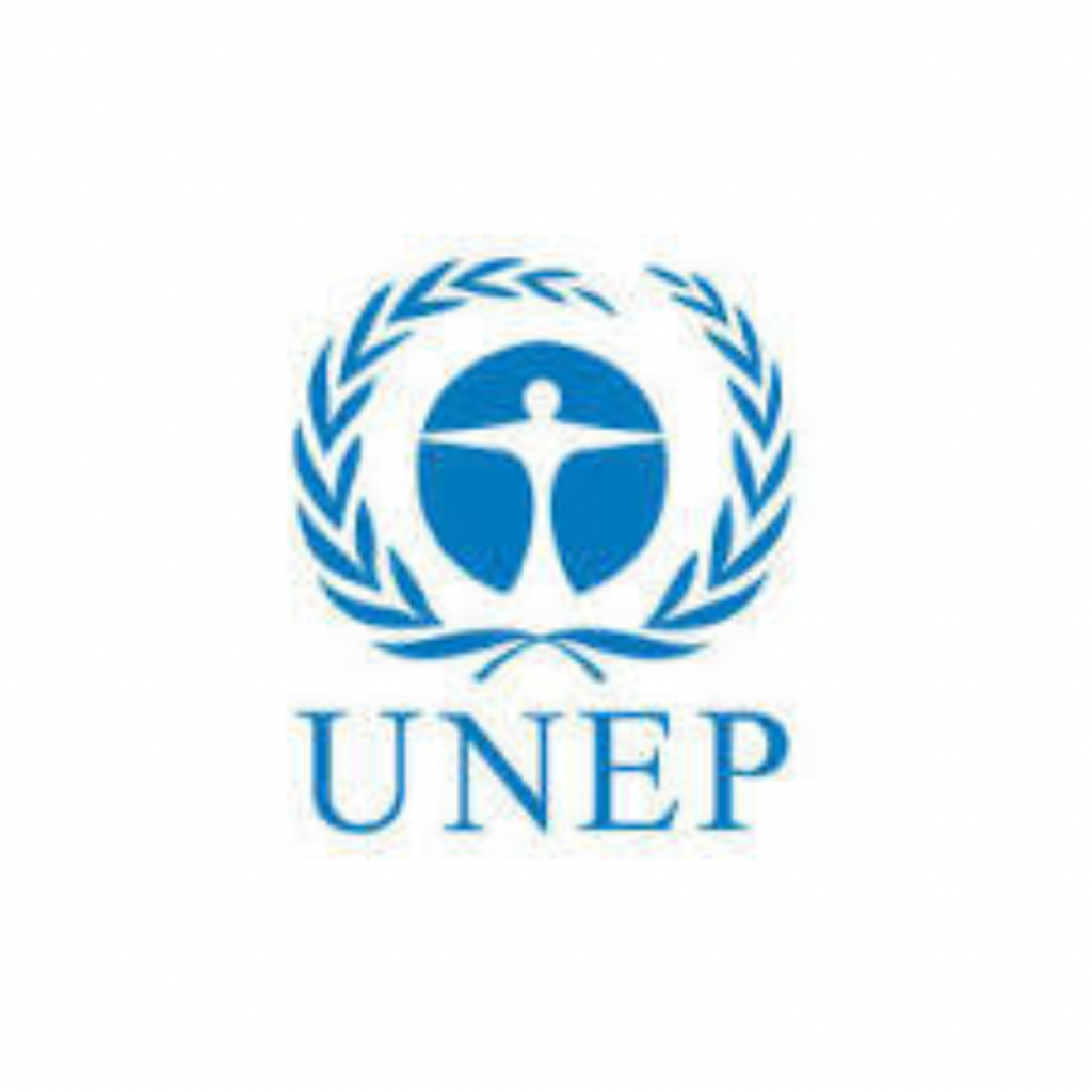 UNITED NATIONS ENVIRONMENT PROGRAMME (UNEP)
