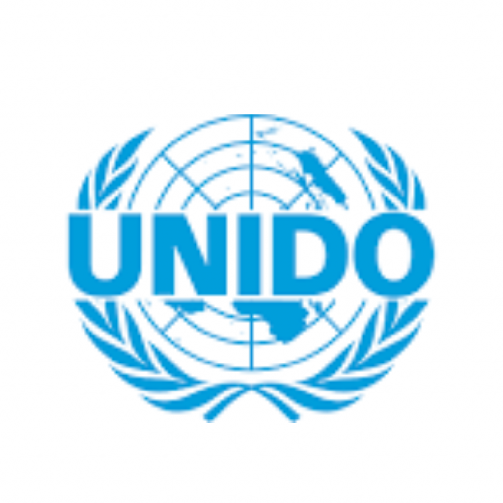 UNITED NATIONS INDUSTRIAL DEVELOPMENT ORGANIZATION (UNIDO)